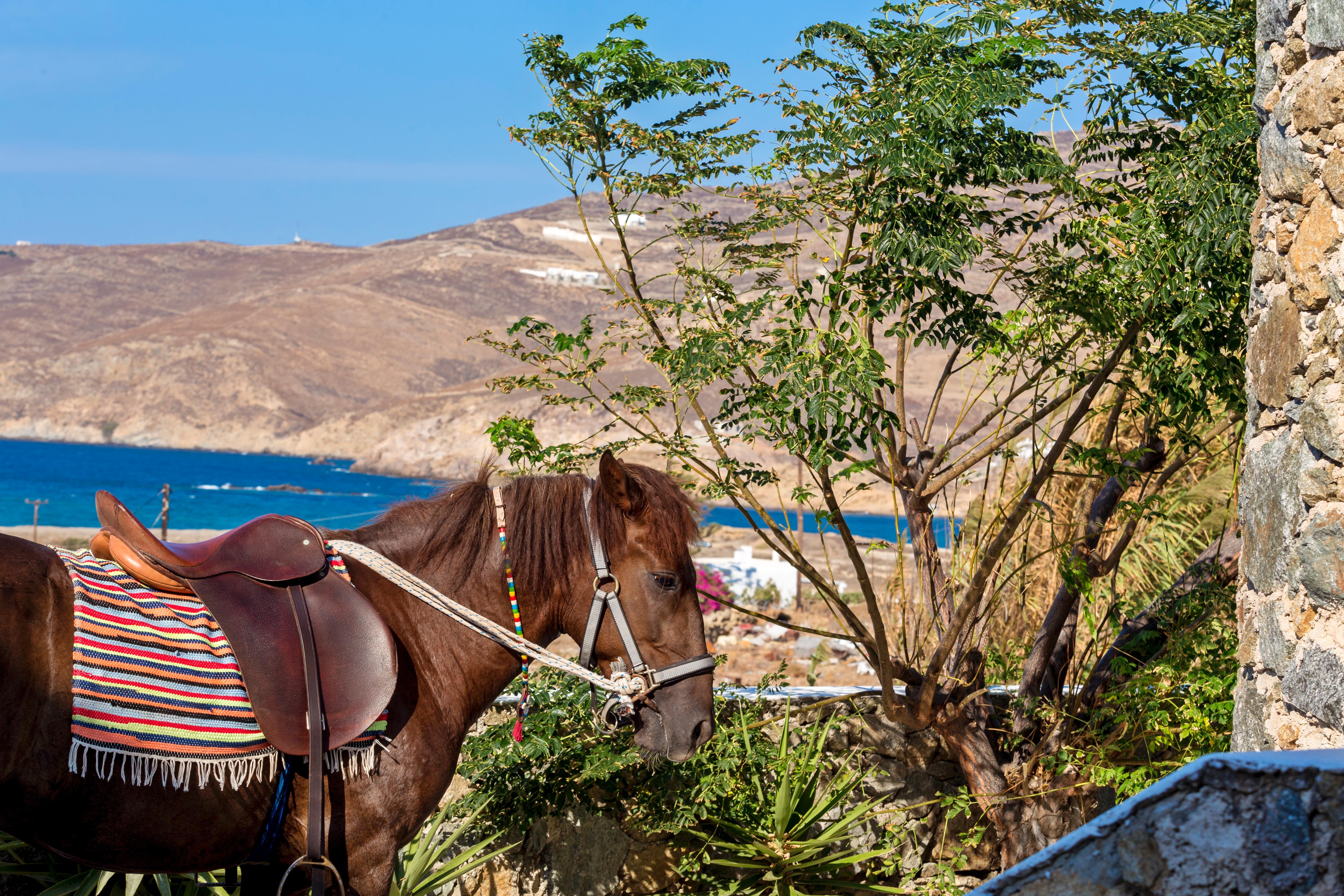 Anamar Mykonos Natural Retreat Ftelia  ภายนอก รูปภาพ